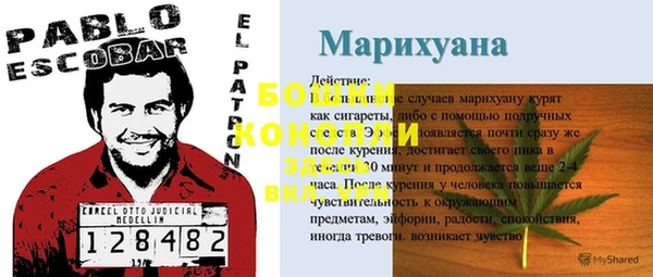 трава Абинск