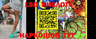 шишки Новокубанск