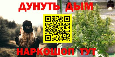 шишки Новокубанск