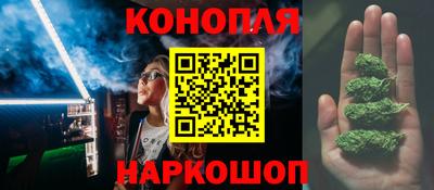 шишки Новокубанск