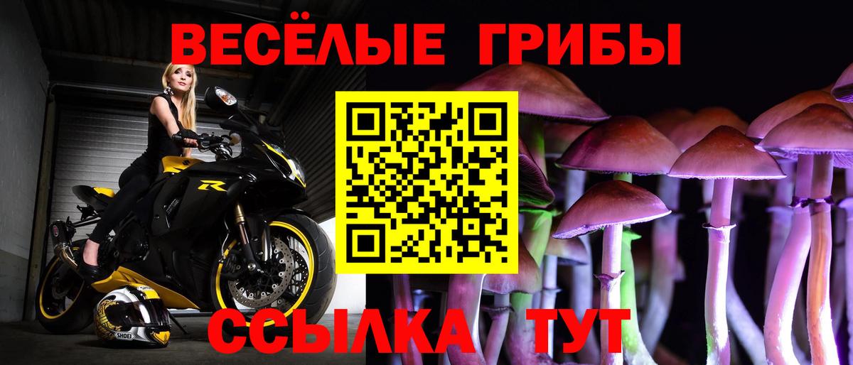 Псилоцибиновые грибы ЛСД  Вход с VPN  Усть-Кут 